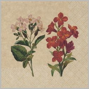ф907 Салфетки Bouquet eco-friendly 33*33, 2хсл, 25л. 