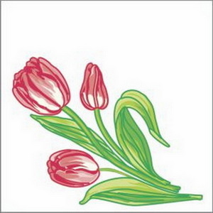 ф942 Салфетки 24х24, 1сл, 100 л, Bouquet Elegant 