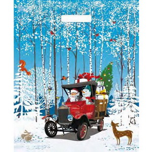 Е2244 Пакет ПЭ с вырубной ручкой 38х45+6 (60) Тико НГ глянец (Снеговик Почтовик) Россия