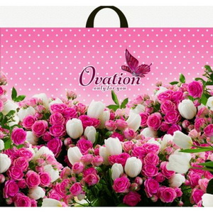 Е8379  Пакет ПЭ с петлевой ручкой 60х50+6 (70) - Интерпак (Овация) Россия 