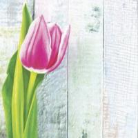 Ф45 Салфетки Art Bouquet 33*33, 3хсл, 20шт. 