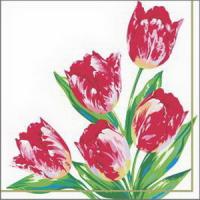 ф853 Салфетки 25*25 1сл 40шт Desna Design 