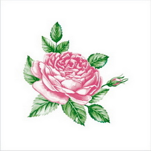 ф1062 Салф. Art Bouquet 20х20 2 слоя 30л 