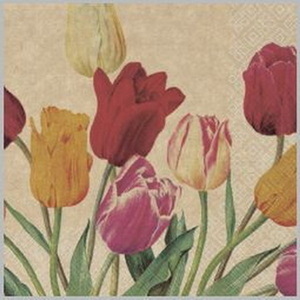 ф908 Салфетки Bouquet eco-friendly 33*33, 2хсл, 25л. 