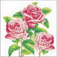 ф855 Салфетки 25*25 1сл 40шт Desna Design 