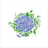 ф1058 Салф. Art Bouquet 20х20 2 слоя 30л 