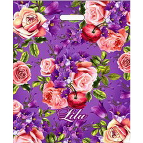 Е2549 Пакет ПЭ с вырубной ручкой 40х50+6 (75) Интерпак (Лилу) Россия 