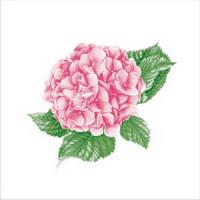 ф1064 Салф. Art Bouquet 20х20 2 слоя 30л 