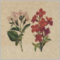 ф907 Салфетки Bouquet eco-friendly 33*33, 2хсл, 25л. 
