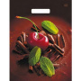 Е1963 Пакет ПЭ с вырубной ручкой 31х40 (60) Тико ламинация (Вишенка) Россия