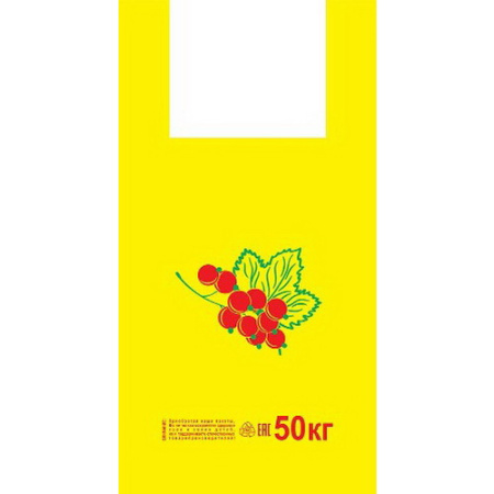 Е499 Пакет типа 