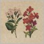 ф907 Салфетки Bouquet eco-friendly 33*33, 2хсл, 25л. 